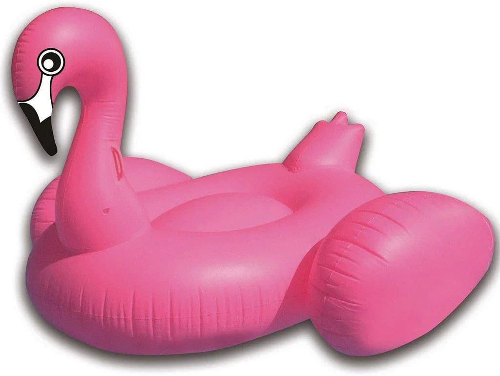 Flamingo swimming pool