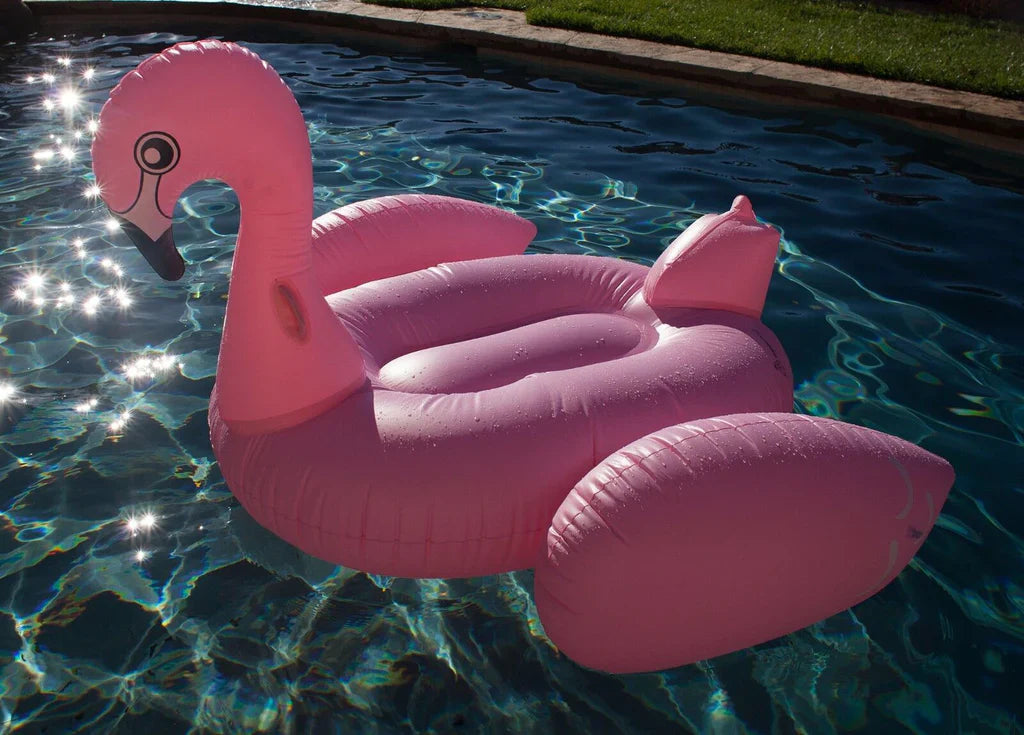 Flamingo swimming pool