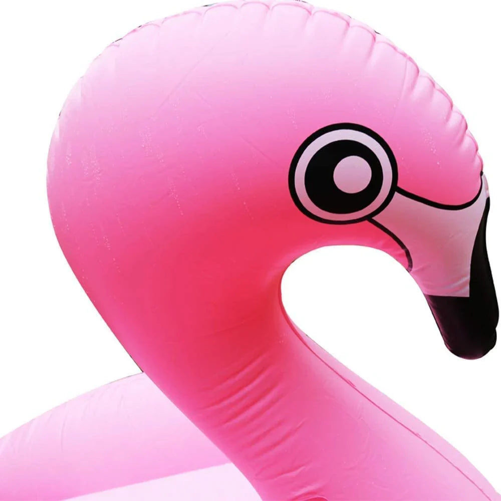 Flamingo swimming pool